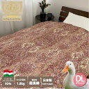 【ふるさと納税】羽毛布団 ダブルサイズ ハンガリー産WDD93% 1.8kg入り ピンク1枚 N-RV-2025DPI|日本製 花粉対策 敬老の日 お歳暮 御歳...