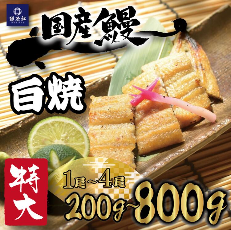 【ふるさと納税】＼内容量・発送時期が選べる／ [特大] 国産 関西風地焼き うなぎ【白焼】 ｜ うなぎ 鰻 蒲焼き 冷凍 活鰻 うな重 土用の丑の日 お取り寄せ 贈り物 ギフト 高級 うなぎの日 ウナギ unagi [4696-4697] ※離島への配送不可