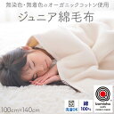 【ふるさと納税】ジュニア綿毛布 ・毛布の町泉大津市産|贈答品 ギフト 誕生日プレゼント 贈り物 クリスマス ベビー キッズ オーガニックコットン 日本製 安心素...