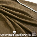 【ふるさと納税】カシミヤ毛布 ミニひざ掛けサイズ|ブランケット 敬老の日 お歳暮 贈答品 ギフト 誕生日プレゼント 贈り物 父の日 母の日 クリスマス お見舞 ...