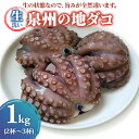 【ふるさと納税】生洗い泉州の地タコ1kg(2尾〜3尾)｜生たこ 生ダコ 蛸 たこ焼き お好み焼き マリネ [0531]