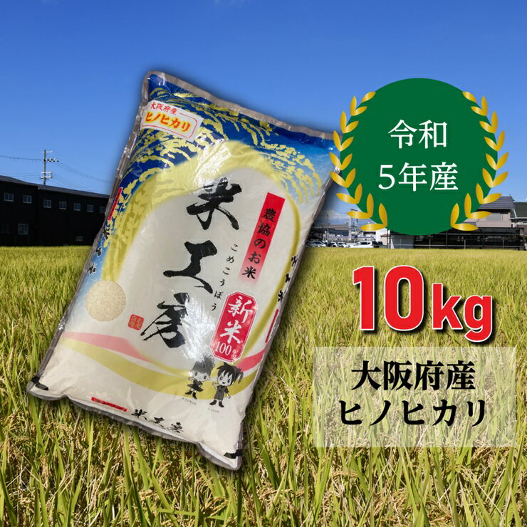 【ふるさと納税】大阪府産 令和5年度産 ひのひかり 10kg 泉大津市産米ブレンド｜米 地元産 もちもち 健康 美味しい 泉州地方で収穫 [4434]