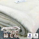 【ふるさと納税】エジプト超長綿 綿毛布 [クイーン 200×200cm] C555Q ナチュラル系 [4580]