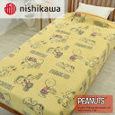 【ふるさと納税】nishikawa/西川の【PEANUTS】スヌーピー綿毛布 PN3602BD イエロー FQ03801002430 ※離島への配送不可(3)