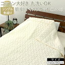 【ふるさと納税】コットン大好き 丸洗いOK 肌掛けキルトケット(綿100%)シングル 生成り RK-1