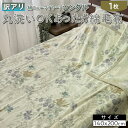 【ふるさと納税】【訳あり】丸洗いOKあったか綿毛布(綿ニューマイヤー)シングル SH-3690