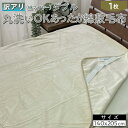 【ふるさと納税】【訳あり】丸洗いOKあったか綿敷毛布(綿マイヤー)ダブル SH-36905PW