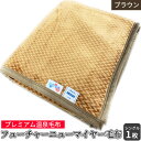 【ふるさと納税】フューチャーニューマイヤー毛布「シングルサイズ/ブラウン」KW11701 プレミアム温泉毛布|温泉に入っているような優しい暖かさ 遠赤外線効果で...