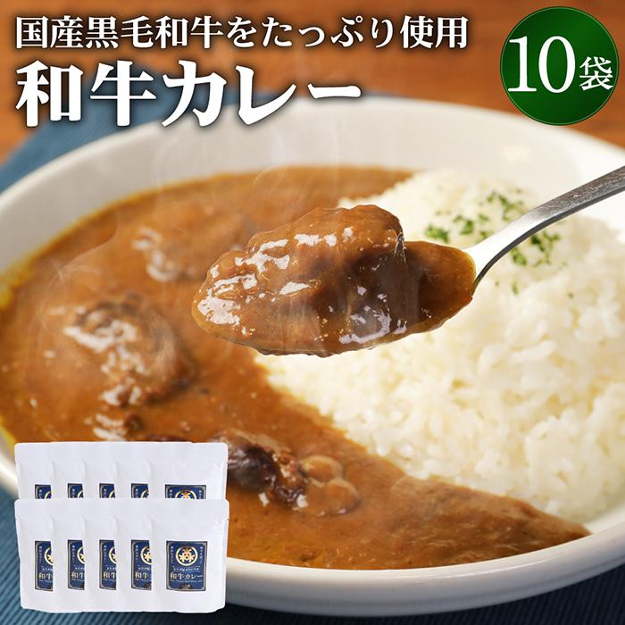 モリタ屋オリジナル和牛カレー10袋