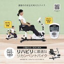 【ふるさと納税】 アルインコ リカンベントバイク8019/AHE8019 健康 運動 ダイエット 家庭用 フィットネスバイク 大阪府高槻市/アルインコ[AOAB...