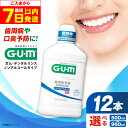 【ふるさと納税】【最短7日以内発送】【選べる容量】 ガム・デンタルリンス<低刺激ノンアルコールタイプ> 歯磨き はみがき 歯ブラシ 歯磨き粉 マウスウォッシュ ...