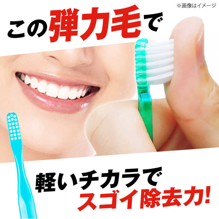 【ふるさと納税】【最短7日以内発送】ガム・デンタルブラシ #191 【ふつう・先細】 48本（6本入×8箱） 歯磨き はみがき ハミガキ 歯磨き粉 歯みがき粉 歯ブラシ ハブラシ ふつう 細め 歯周病 虫歯 口臭 矯正 大容量 人気 定番 おすすめ 大阪府高槻市/サンスター[AOAD025]