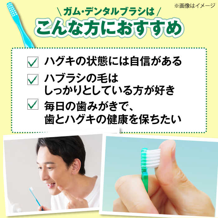 【ふるさと納税】【最短7日以内発送】ガム・デンタルブラシ #191 【ふつう・先細】 48本（6本入×8箱） 歯磨き はみがき ハミガキ 歯磨き粉 歯みがき粉 歯ブラシ ハブラシ ふつう 細め 歯周病 虫歯 口臭 矯正 大容量 人気 定番 おすすめ 大阪府高槻市/サンスター[AOAD025]