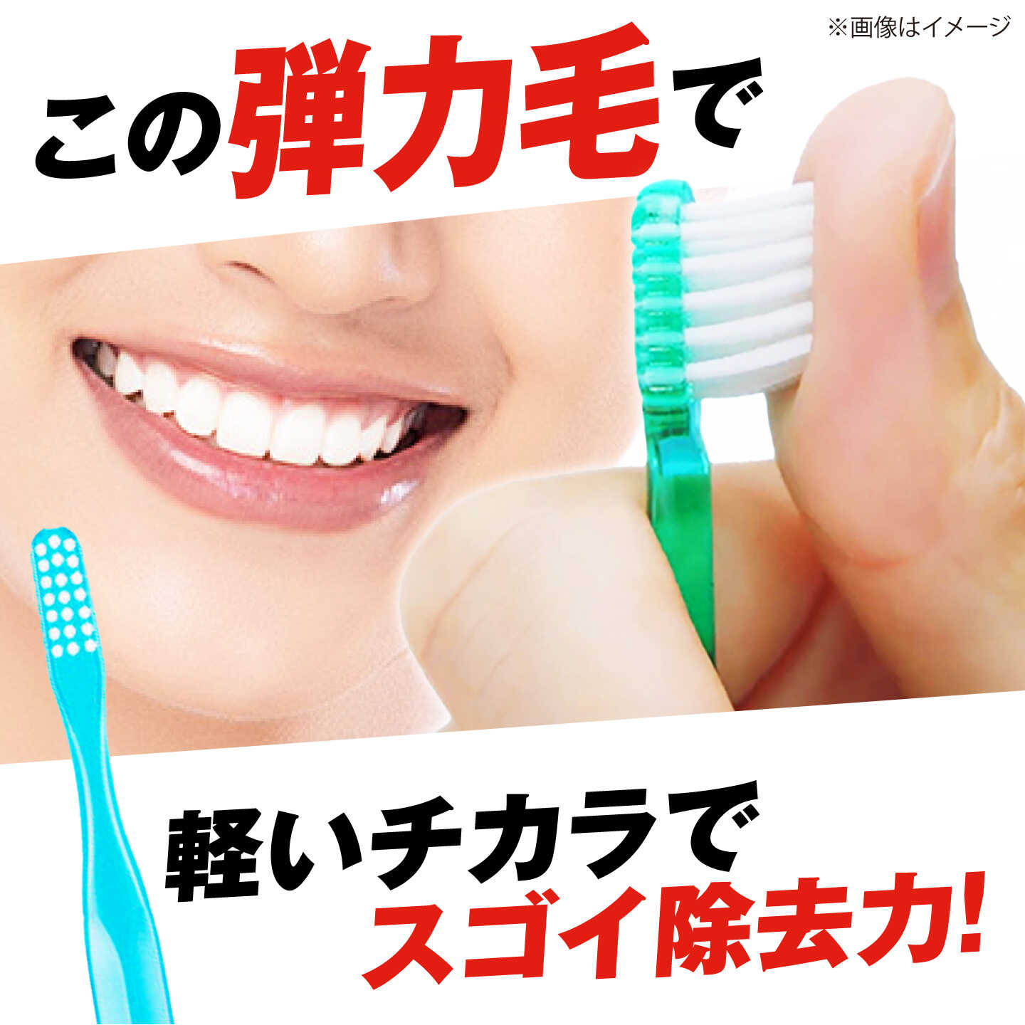 【ふるさと納税】ガム・デンタルブラシ #191 【ふつう・先細】【選べる容量】 歯磨...