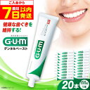 【ふるさと納税】【最短7日以内発送】ガム・デンタルペースト 155g×20本 歯磨き 歯磨き粉 歯ブラシ 歯周病 虫歯 口臭 大阪府高槻市/サンスター[AOAD...