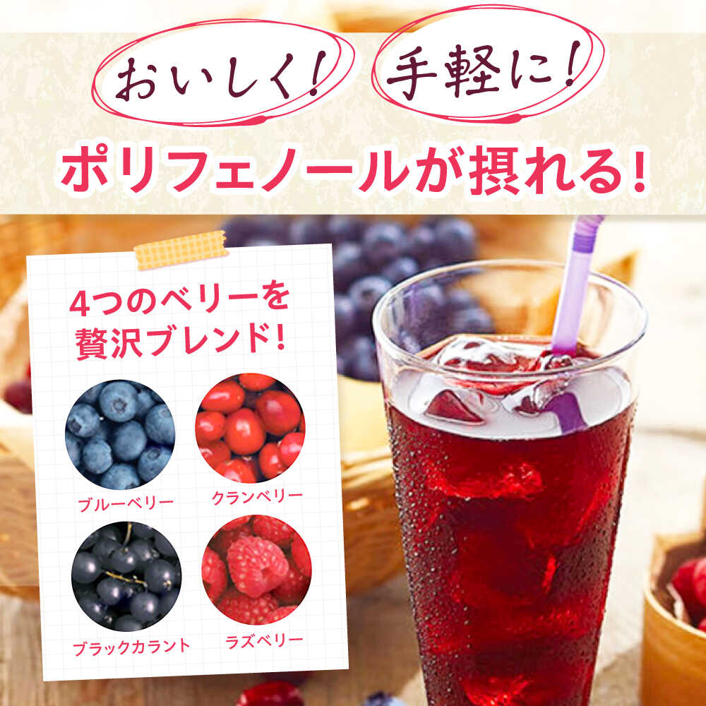 【ふるさと納税】健康道場 4つのベリーの恵み 160g×30本 健康飲料 野菜飲料 飲料 野菜ジュース 果物 栄養バランス ベリー 大容量 ポリフェノール 健康 ドリンク サンスター 美容 アンチエイジング おすすめ 大阪 高槻 大阪府高槻市/サンスター[AOAD052]