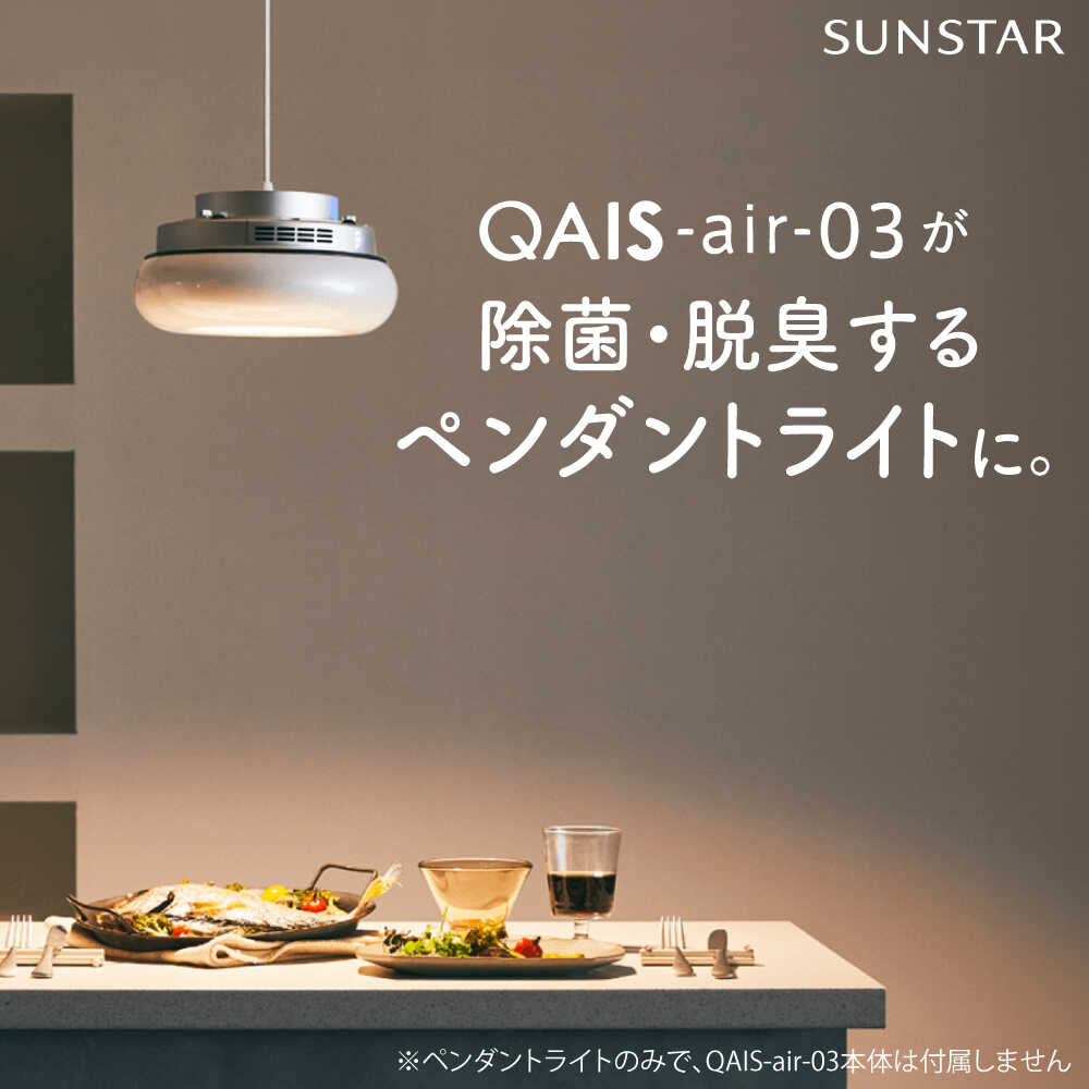 【ふるさと納税】SUNSTAR QAIS -air- 03 専用ペンダントライト〈Pendant Light〉 単品(本体別売) 空気清浄機 照明 間接照明 ペ...