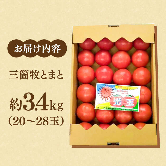 【ふるさと納税】【1月中旬以降順次発送】三箇牧とまと（高槻産）約3.4kg（20〜28玉入り）野菜 トマト 新鮮 三箇牧とまと 野菜不足 限定 大容量 大阪府高槻市/株式会社ミートモリタ屋[AOAI015]
