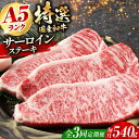 【ふるさと納税】【全3回定期便】国産和牛特上サーロインステーキ 180g×3枚 サーロインステーキ ステーキ肉 国産 和牛 A5ランク ギフト 霜降り 大阪府高...