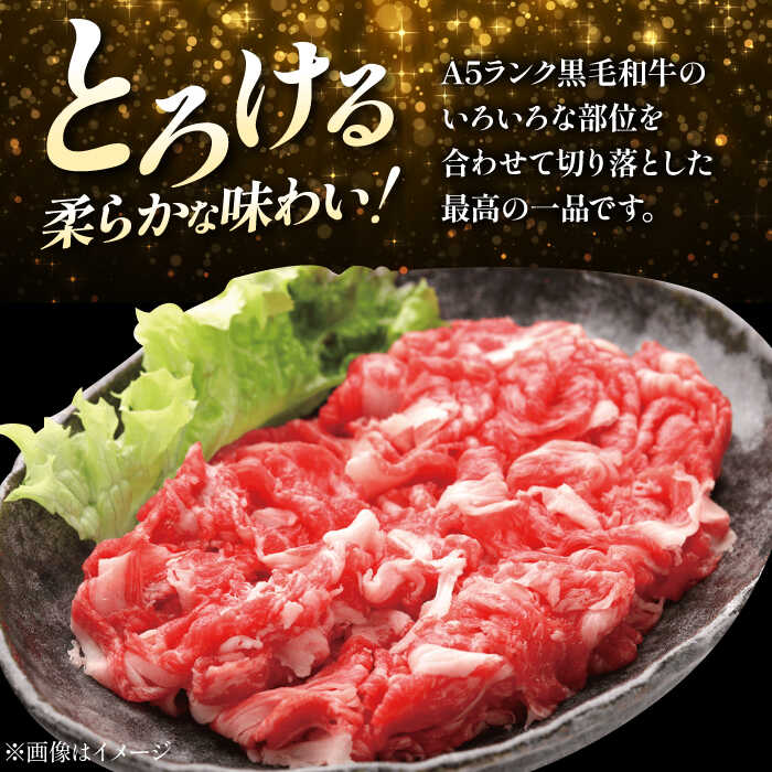 【ふるさと納税】【全12回定期便】国産和牛切落し 400g 冷凍 肉 お肉 牛肉 和牛 黒毛和牛 国産 国産牛 牛バラ バラ肉 バラ肉 切り落とし すき焼き すきやき カレー 肉じゃが 牛丼 大阪府高槻市/株式会社ミートモリタ屋[AOAI048]