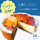 【ふるさと納税】《公園と、タルト》数量限定! シェフこだわりの絶品チーズタルト タルト チーズケーキ あんず 杏 スイーツ デザート 洋菓子 ケーキ タルト生地...