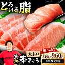 【ふるさと納税】【選べる容量・定期便】極上!たね熟天然本まぐろ大トロ まぐろ マグロ 鮪 トロ 刺身 小分け 冷凍 海鮮 新鮮 魚介類 送料無料 ふるさと納税 ...