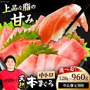 【ふるさと納税】【選べる容量・定期便】極上!たね熟天然本まぐろ中トロ 天然 マグロ 鮪 まぐろ トロ 赤身 海鮮 さかな 刺身 魚 魚介 ギフト 贈り物 贈答 ...