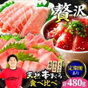 【ふるさと納税】【選べる定期便】極上!たね熟天然本まぐろ赤身&中トロ&大トロセット(各160g 計480g) 天然 マグロ 鮪 まぐろ トロ 赤身 刺身 魚 魚...