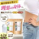 【ふるさと納税】【定期便6ヶ月連続】Vitafast 乳酸菌プロテイン きなこ&ココア味 各1袋×6ヶ月 計12袋 シェイカー1個付き 筋トレ プロテイン トレ...