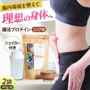 【ふるさと納税】Vitafast 乳酸菌プロテイン ココア味 2袋 シェイカー1個付き 筋トレ プロテイン トレーニング 運動 シェイカー 大阪府高槻市/合同会...