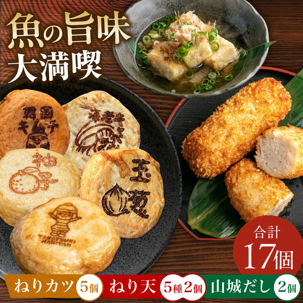 【ふるさと納税】ねり天10個+山城だし2p+ねりカツ5個　大阪府高槻市/ねり天・旬彩和食　山城[AOCP003] 練り物 おでん お取り寄せ グルメ