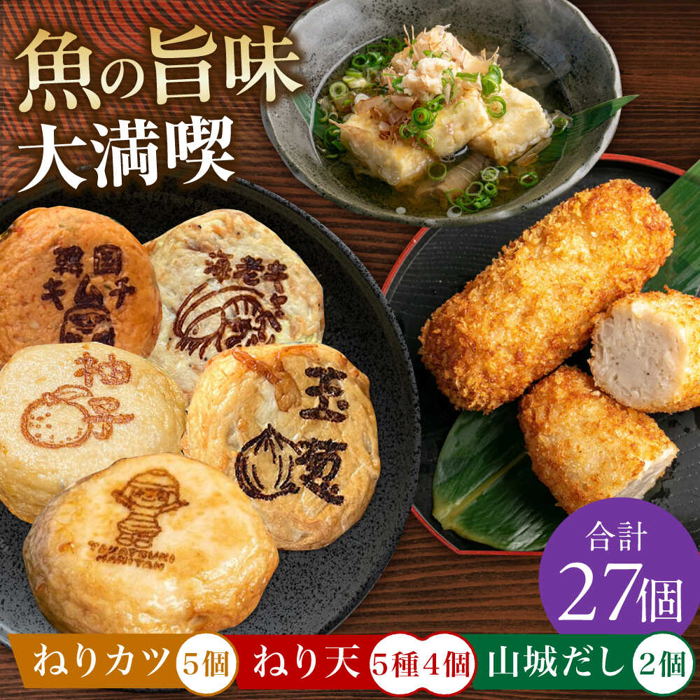 【ふるさと納税】ねり天20個+ねりカツ5個+だし2p　大阪府高槻市/ねり天・旬彩和食　山城[AOCP004] 練り物 おでん お取り寄せ グルメ
