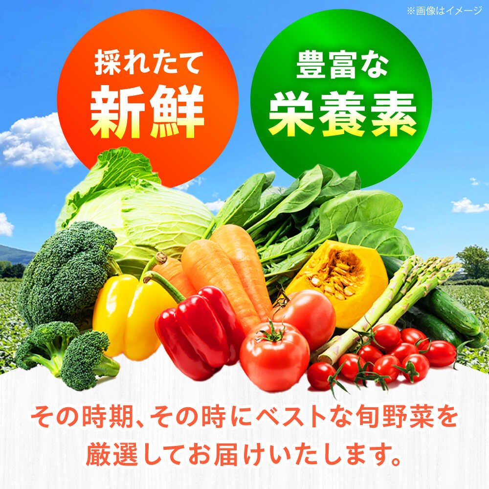 乾燥野菜 大根葉 単品
