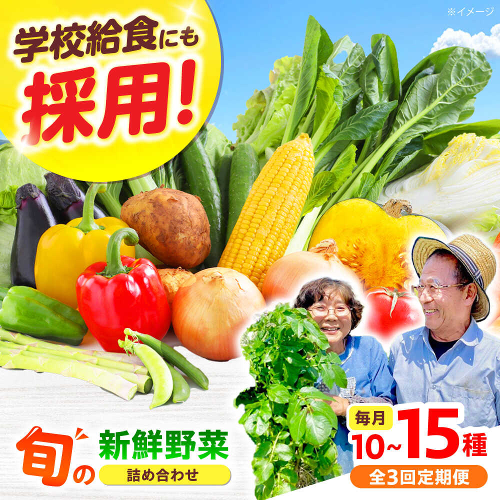 【ふるさと納税】【全3回】【数量限定】厳選！旬を味わう高槻野菜おまかせ詰め合わせ定期便（10種〜15種）　大阪府高槻市/高槻あぐり[AOCS019]
