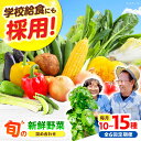 【ふるさと納税】【全6回】【数量限定】厳選!旬を味わう高槻野菜おまかせ詰め合わせ定期便(10種〜15種) 野菜 やさい 新鮮 産地直送 旬 人気 お取り寄せ 野...