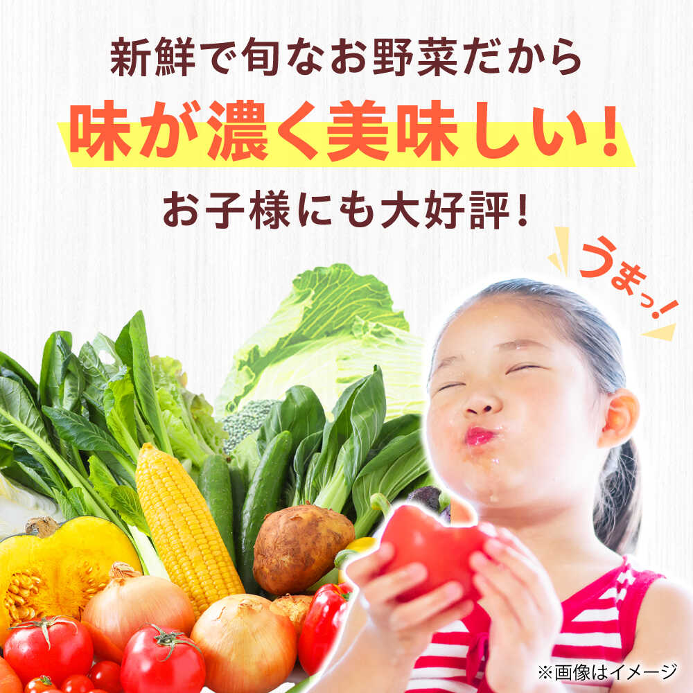 【ふるさと納税】【数量限定】厳選！旬を味わう高槻野菜詰め合わせ 3月（10〜15種）＆はちみつ セット　大阪府高槻市/高槻あぐり[AOCS022]