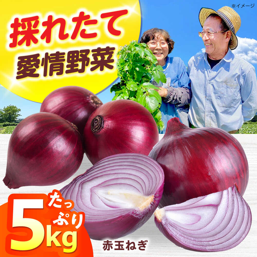 新鮮!しゃきしゃき! 赤玉ねぎ 5kg (5月下旬から6月頃発送予定) 大阪府高槻市/高槻あぐり[AOCS023]