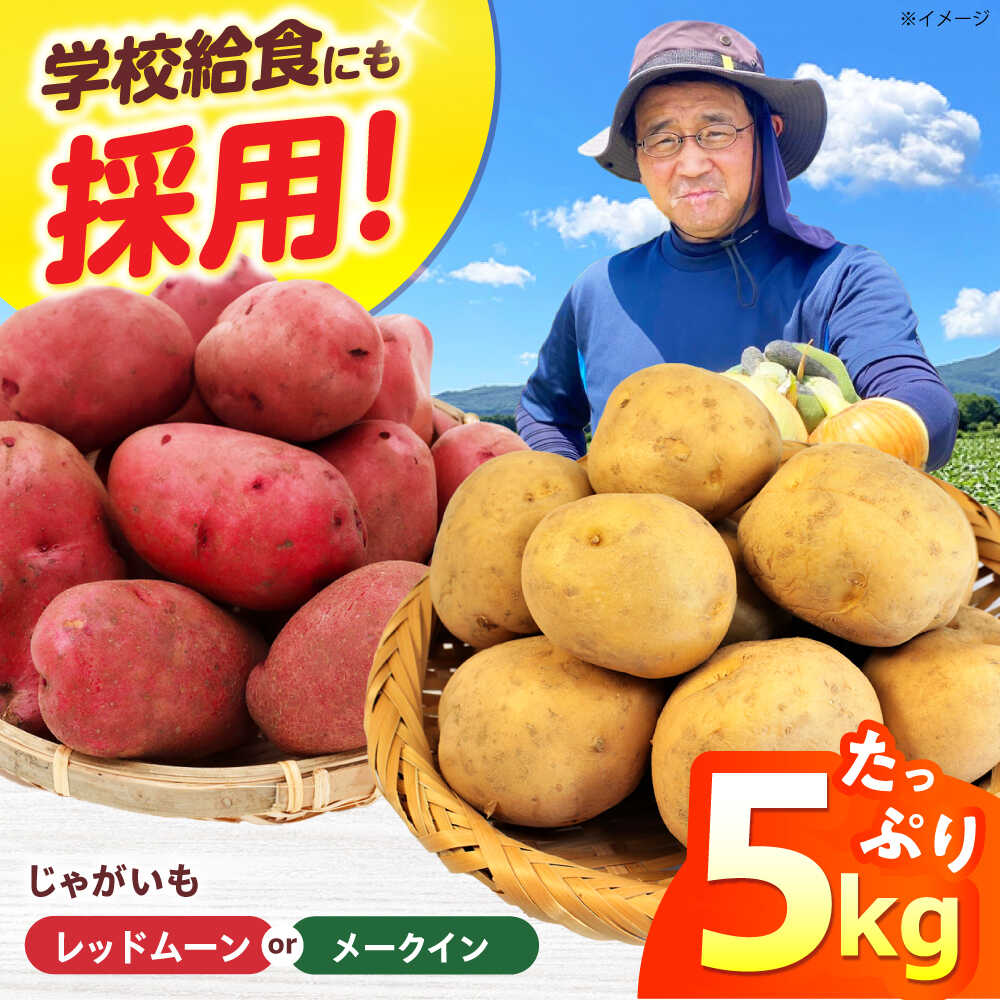 【ふるさと納税】新鮮！ほくほく！ じゃがいも 5kg　メークイン　レッドムーン （5月下旬から6月頃発送予定） 大阪府高槻市/高槻あぐり[AOCS024][AOCS024]