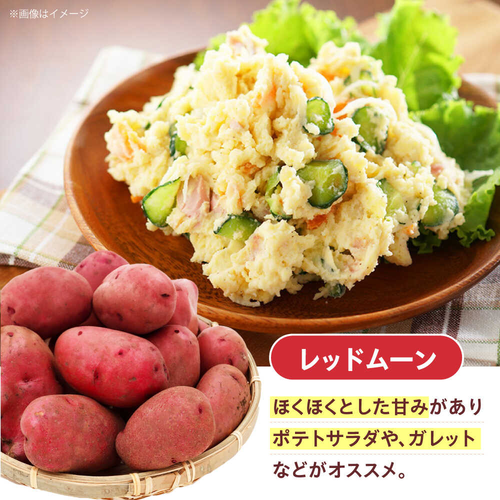 【ふるさと納税】毎日の食卓の味方！玉ねぎ 5kg じゃがいも 5kg 常備野菜セット メークイン レッドムーン （5月下旬から6月頃発送予定） 大阪府高槻市/高槻あぐり[AOCS025]
