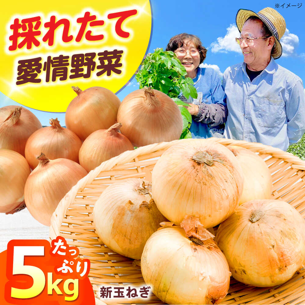 新鮮!しゃきしゃき! 新玉ねぎ 5kg 七宝早生 (5月から6月頃発送予定) 大阪府高槻市/高槻あぐり[AOCS026]