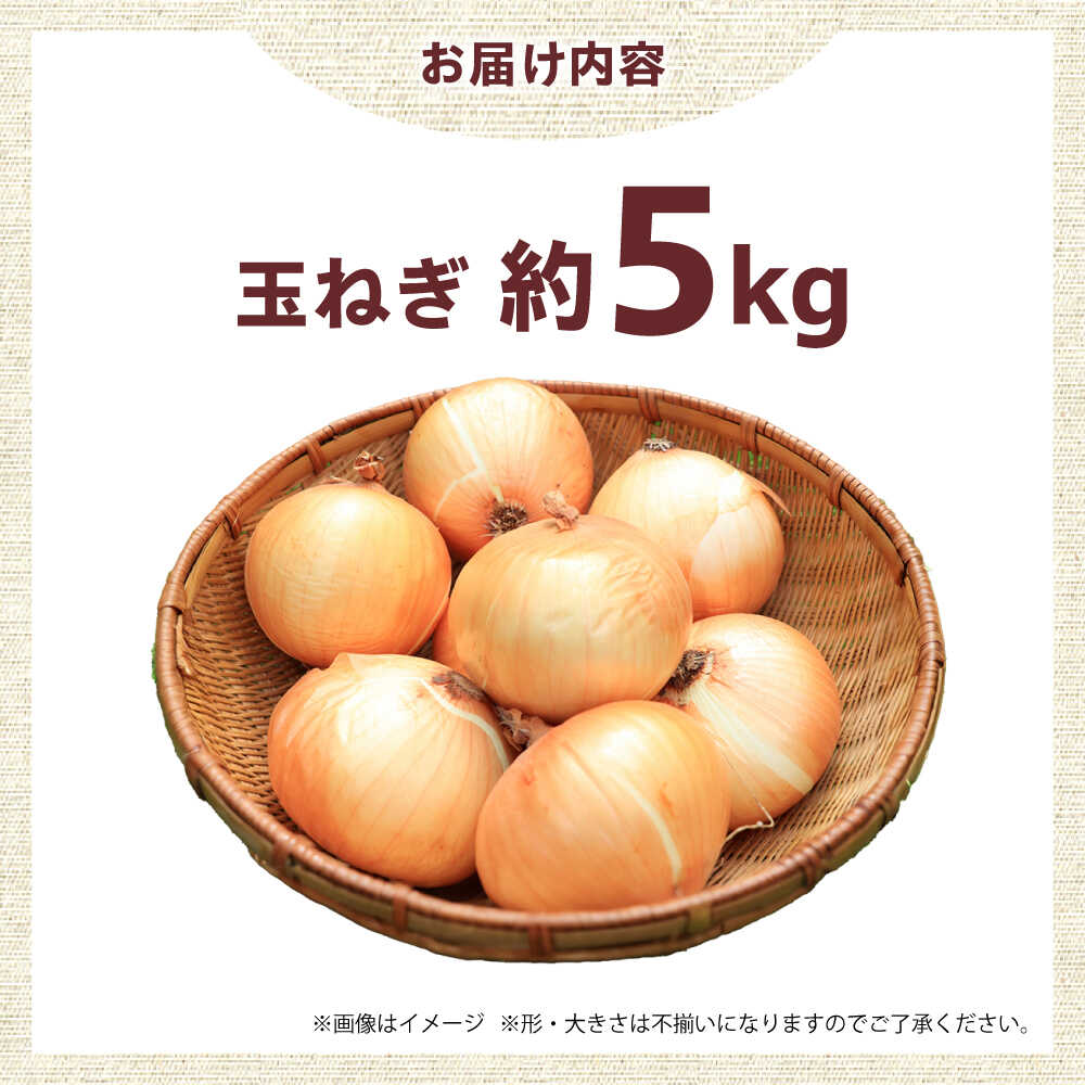 【ふるさと納税】新鮮！しゃきしゃき！ 玉ねぎ 5kg （7月以降発送予定） 大阪府高槻市/高槻あぐり[AOCS027]