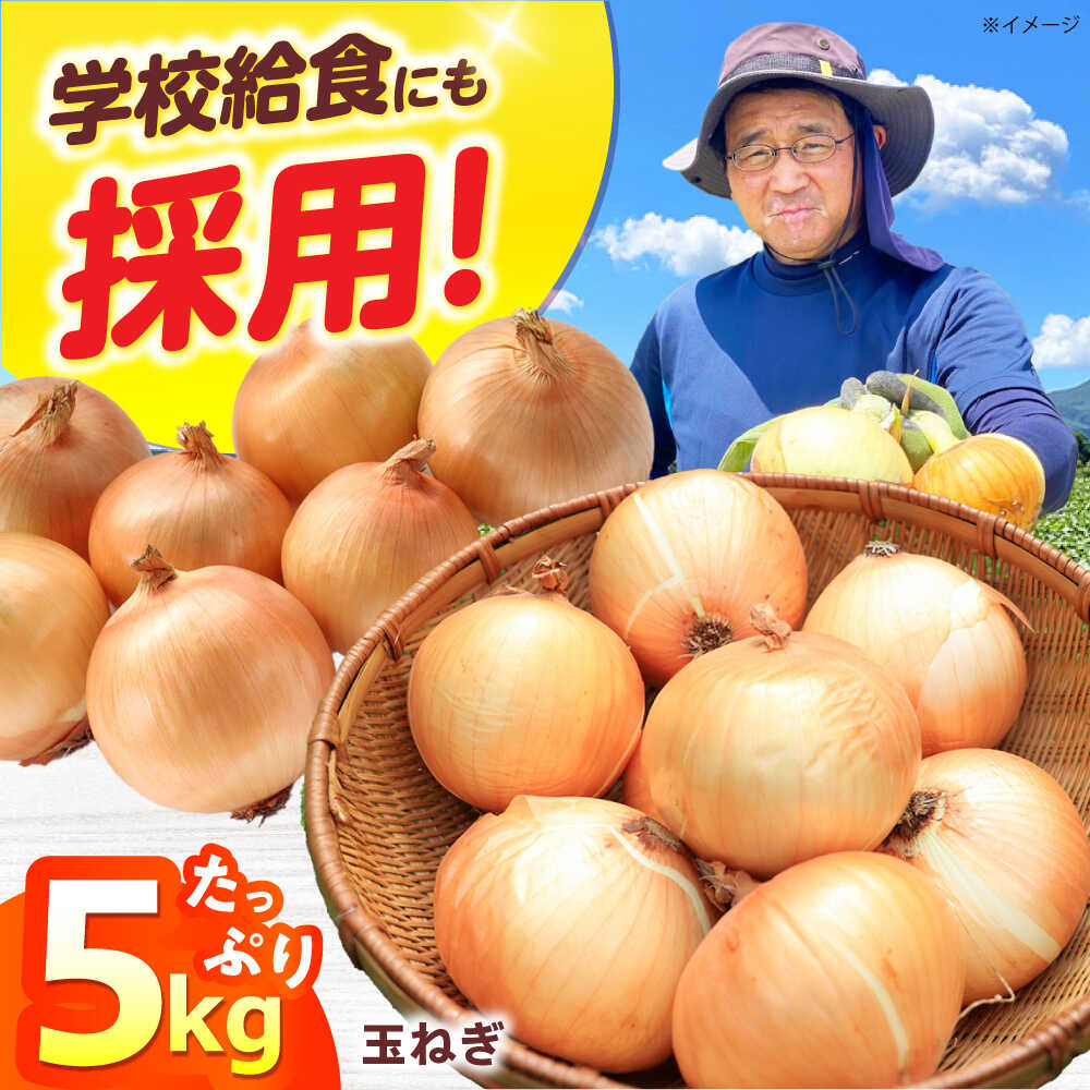 【ふるさと納税】新鮮！しゃきしゃき！ 玉ねぎ 5kg （7月以降発送予定） 大阪府高槻市/高槻あぐり[AOCS027]