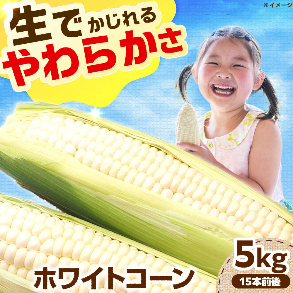 【ふるさと納税】【6月頃発送予定】朝採れとうもろこし ホワイトコーン 5kg/15本前後 高槻市産 とうもろこし トウモロコシ コーン 甘い 野菜 新鮮 大阪府高槻市/高槻あぐり[AOCS029]