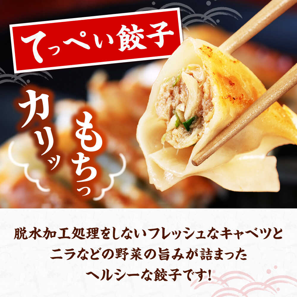 【ふるさと納税】【選べる種類・容量】人気ラーメン店の本気「てっぺい餃子/肉餃子」75〜100個入り(小分け包装)【保存料無添加】【メディアで話題 石田てっぺい ラーメン店】 国産豚肉 餃子 ぎょうざ 冷凍 惣菜 大阪府高槻市/無人屋[AOCX007]
