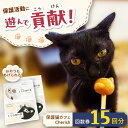 【ふるさと納税】Cherish猫カフェ 回数券(15回分) 猫 ねこ ネコ 保護 保護猫 支援 グッズ付き 動物愛護 応援 保護猫支援 カフェ 保護猫カフェ ギ...