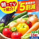 【ふるさと納税】【全6回定期便】 米ぬかで育てた!旬のお野菜セット 詰合せ 詰め合わせ 新鮮 産地直送 おまかせ やさい 野菜セット 野菜 旬野菜 旬 人気 お...