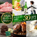 【ふるさと納税】【高槻市コンシェルジュ】返礼品おまかせ!寄附額30万円コース 300000円 チョコ 日用品 マッサージ 詰め合わせ プレゼント 内祝い お返し...