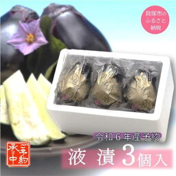 【ふるさと納税】水なす工房『やくし』水なす旨味液漬3個入り