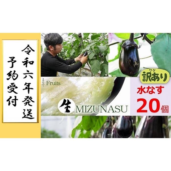 【ふるさと納税】北野農園【農家直送】ワケあり泉州水なす20個 /訳あり 家庭用 不揃い 規格外 生なす 泉州水なす 水なす 泉州水ナス 水ナス 茄子 | 訳あり 家庭用 不揃い 規格外 生なす 予約品 泉州水なす 水なす 泉州水ナス 水ナス 那子