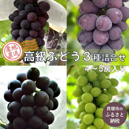 【貝塚市産】高級ぶどう3種詰合せ4～5房入り 約2.4kg　2024年8月より発送